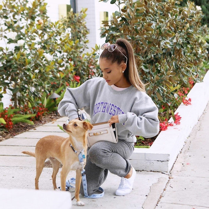 Celebrities and their cute pets!!-ESTHER & CO.